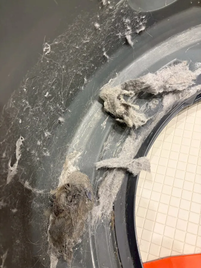 ドラムシール部のホコリ